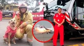 Familias realizan misa por los bomberos fallecidos. Familias realizan misa por los bomberos fallecidos.