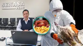 Senasa se pronuncia sobre comer o no pollo, huevos, entre otros. Senasa se pronuncia sobre comer o no pollo, huevos, entre otros.
