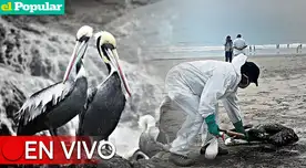 Consejo de Ministros habló de medidas sanitarias contra el COVID-19 y la gripe aviar. Consejo de Ministros habló de medidas sanitarias contra el COVID-19 y la gripe aviar.