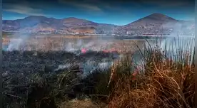“¡Las islas de Los Uros está en peligro!”: Reportan Incendio de Totorales a orillas del Lago Titicaca, en Puno