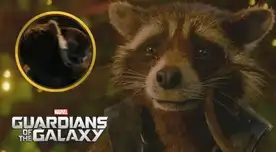 Guardianes de la galaxia 3: Conoce quién es Lady Lylla y qué tiene que ver con Rocket.