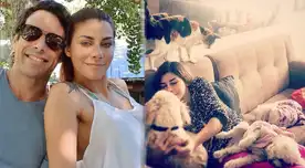 Xoana González y Javier González anuncian que pasarán fiestas en el baño para salvaguardar a sus mascotas de los pirotécnicos.