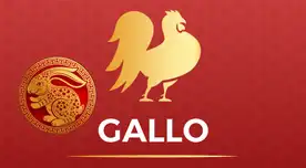 Conoce lo que le deparará este 2023 a El Gallo
