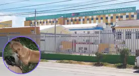 Obrero deja en la orfandad a 6 hijos