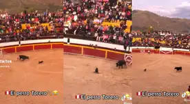 Firulais se ganó el cariño del público con su presentación. Firulais se ganó el cariño del público con su presentación.