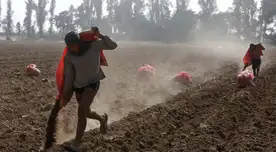 Conoce cuánto es el monto del Bono Sequía 2023. Conoce cuánto es el monto del Bono Sequía 2023.