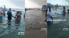 Lobo marino atacó a un niño en la playa de Punta Negra Lobo marino atacó a un niño en la playa de Punta Negra
