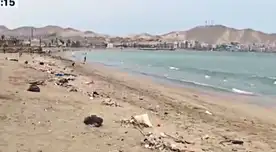 La Municipalidad de Ancón solicitó la presencia de Serfor para recoger a los animales muertos.