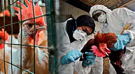 El padre de la menor fallecida también ha dado positivo a gripe aviar.