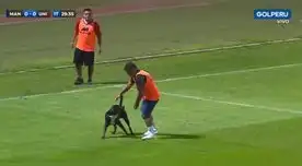 Un perro ingresó al campo de juego en pleno duelo entre Mannucci vs Universitario