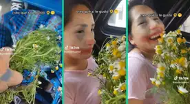Joven sorprende a su enamorada con ramo de manzanillas