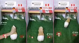 "Kurikuri El Cuy" lanza predicción para el partido amistoso internacional de Perú vs. Alemania.
