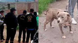 Policías llegaron hasta el lugar del ataque.