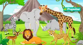 Los seres vivos se clasifican en grandes grupos llamados reinos.