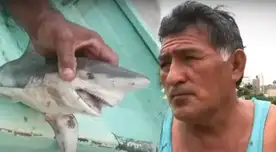 Presencia de tiburones en Punta Hermosa ha dejado a pescadores preocupados.