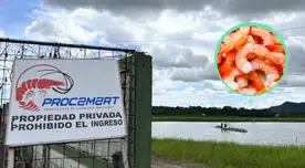 Ecuador se ha convertido en el mayor país de exportadores de camarones.