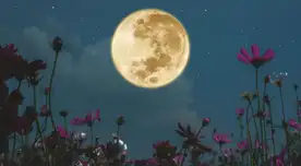 La luna de flores es uno de los eventos astrónomicos más esperados.