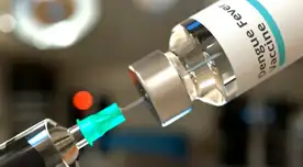 Conoce los detalles más relevantes sobre la vacuna para el dengue. Conoce los detalles más relevantes sobre la vacuna para el dengue.