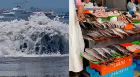 Vendedores de jurel y bonito han anunciado que el valor del pescado aumentó. Vendedores de jurel y bonito han anunciado que el valor del pescado aumentó.