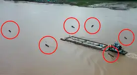 Dos embarcaciones llenas de petróleo esán retenidas en Loreto. Dos embarcaciones llenas de petróleo esán retenidas en Loreto.