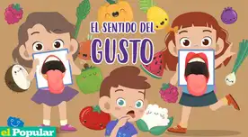 Explora el arte de saborear: Descubre la función y partes del sentido del gusto. Explora el arte de saborear: Descubre la función y partes del sentido del gusto.