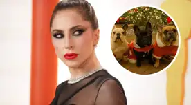 Lady Gaga no pagó el medio millón de dólares de recompensa de sus mascotas. Lady Gaga no pagó el medio millón de dólares de recompensa de sus mascotas.