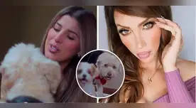 Yahaira Plasencia presenta a sus mascotas. Yahaira Plasencia presenta a sus mascotas.