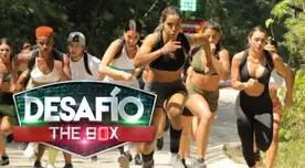 Desafío The Box: Conoce todo sobre el reality de competencia colombiano. Desafío The Box: Conoce todo sobre el reality de competencia colombiano.