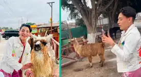 El tiktoker Kunno lució muy emocionado por conocer a las llamas. El tiktoker Kunno lució muy emocionado por conocer a las llamas.