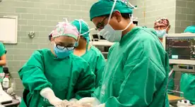 ¿Cuánto gana un médico en el Perú? AQUÍ lo conocerás. ¿Cuánto gana un médico en el Perú? AQUÍ lo conocerás.