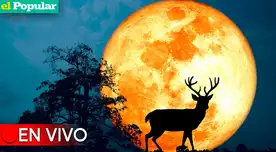 Estos son todos los detalles de la Superluna de ciervo 2023 en julio por la NASA. Estos son todos los detalles de la Superluna de ciervo 2023 en julio por la NASA.