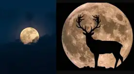 Superluna de Ciervo pudo verse en el cielo limeño. Superluna de Ciervo pudo verse en el cielo limeño.