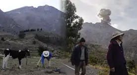 Ganaderos temen por sus animales tras erupciones de volcán Ubinas.