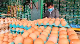 Conoce cómo identificar que un huevo está bueno para consumir. Conoce cómo identificar que un huevo está bueno para consumir.