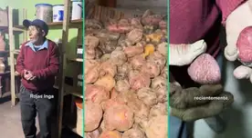 El campesino fue viral en TikTok por gran logro.