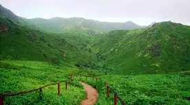 Fiestas Patrias 2023: presupuesto, tips y recomendaciones para visitar las Lomas de Lachay Fiestas Patrias 2023: presupuesto, tips y recomendaciones para visitar las Lomas de Lachay