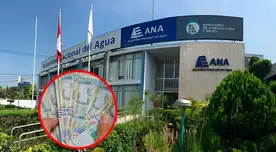 Estos empleos están dirigidos a titulados universitarios. Estos empleos están dirigidos a titulados universitarios.