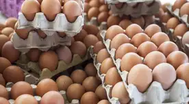 Los huevos extranjeros estarían generando competencia desleal a los productores peruanos. Los huevos extranjeros estarían generando competencia desleal a los productores peruanos.