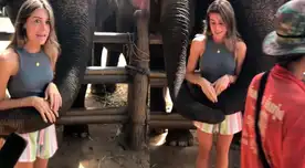 Usuaria española es viral tras registrar un curioso hecho al tomarse fotos con un elefante en Tailandia. Usuaria española es viral tras registrar un curioso hecho al tomarse fotos con un elefante en Tailandia.
