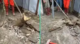 Las imágenes causaron revuelo en las redes sociales, sobre todo en Instgram. Las imágenes causaron revuelo en las redes sociales, sobre todo en Instgram.