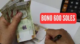 El Bono 600 soles se entregará sólo a los trabajadores del sector público de forma única y excepcional.