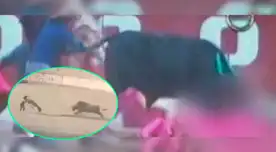 Joven padre falleció corneado durante festividad en Cusco.