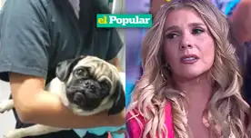 Johanna San Miguel quedó en shock al ver el vídeo de la perrita acuchillada en La Victoria.