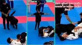 La reacción del perrito fue viral en TikTok.