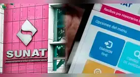 Aparte de emitir tus recibos por honorario puedes visualizar el historial en la Sunat.