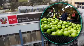 El precio del limón bajaría antes de terminar el año, según el Midagri. El precio del limón bajaría antes de terminar el año, según el Midagri.