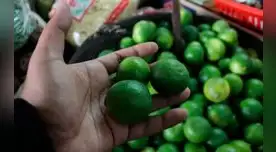 Precio de limón baja en Cusco.