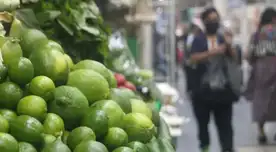 El kilo de limón ha llegado a costar hasta S/80 en algunas regiones del país. El kilo de limón ha llegado a costar hasta S/80 en algunas regiones del país.