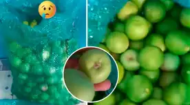 El cevichero de Villa El Salvador denunció haber sido estafado tras comprar un saco de limón: se lo combinaron con manzana.