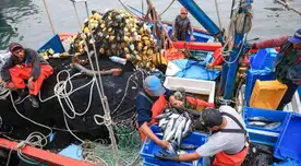 Los anchoveteros han resultado muy afectados este 2023.